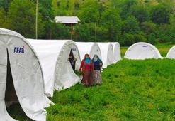 Erzurum'da evleri yananlar için AFAD çadır kurdu