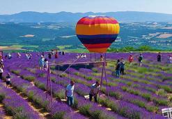 Tekirdağ’da mor şenlik