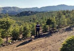 Ankara Valiliği, ormanlara girişi yasakladı