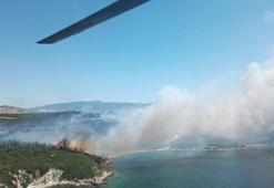 Son dakika: İzmir’de orman yangını! Çok sayıda uçak seferi iptal edildi