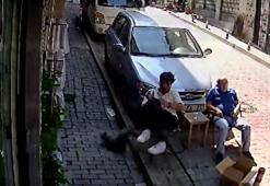 Evden kaçan Fırfır isimli kedi adamın üzerine düştü