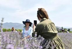 Türkiye’yi doyuran şehir 'Balıkesir' sınırlarını aştı