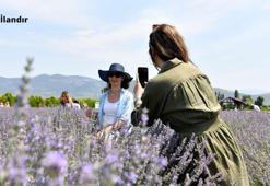 Türkiye’yi doyuran şehir 'Balıkesir' sınırlarını aştı