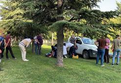 Zamanla yarış! 50 dakikalık müdahale ile hayata döndü