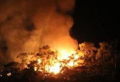 3 ilde peş peşe orman yangınları... Tahliyeler başladı