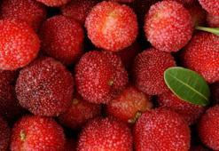 C vitamininde portakalı bile solluyor! Türkiye'de de yetişiyor ama kıymetini Çinliler biliyor