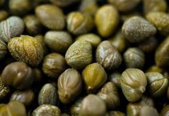 B12, K, E, ve A  deposu besin! Dağ taş her yerde yetişiyor, vitamin fabrikası çıktı