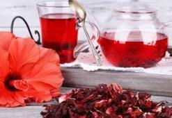 Hibiskus çayı faydaları nelerdir? Hibiskus çayı nasıl yapılır?