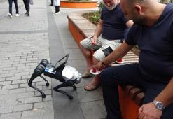 Robot köpeğe simit ve çay ikram ettiler