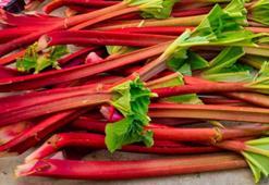 Beyaz saçları siyaha çeviren bitki! Bu yöntem ezberleri bozdu: Saç diplerinde 1 saat bekletmek yetiyor