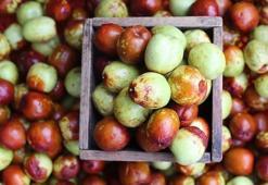 Çin'de ona uzun yaşatan meyve deniyor! Pazar tezgahlarındaki yerini aldı: İçinde portakal ve limondan 10 kat fazla C vitamini var