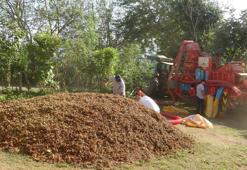 Yılda sadece 1,5 ay çalışıyorlar: Saatlik ücretleri 2 bin TL