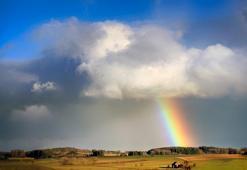 Rüyada gökkuşağı görmek ne anlama gelir? Rüyada gökkuşağı görmek nasıl yorumlanır, neye işarettir?