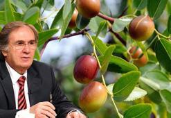 İbrahim Saraçoğlu tarif verdi: Saç derisi kabuklanması ve kaşıntısını kökten çözüyor!