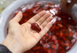 Pazar tezgahlarındaki yerini aldı! Portakaldan %40 daha fazla C vitamini içeriyor, diş çürüklerini onarıyor