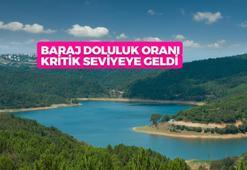 İSTANBUL BARAJ DOLULUK ORANI 11 EYLÜL 2023: İSKİ İstanbul baraj doluluk oranları kaç oldu; yüzdelik dilimleri neler?
