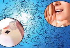 En saçma buluşa 'Değersiz' Nobel