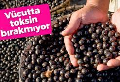 Dünyanın en sağlıklı meyvesi! Nardan 3 kat daha faydalı, bilinen en yüksek antioksidan kaynağı