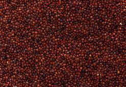 Yüzyıllar öncesinden gelen süper gıda: Bir tatlı kaşığı ile bağışıklığınızı destekleyin