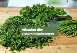 Vücudun yeniden başlatma tuşunu harekete geçiren tek besin! Resmen yürüyen doğal ecza deposu...