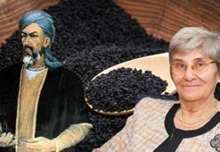 Canan Karatay'ın dilinden düşmüyor! Bu mucize besinin bir tek ölüme çaresi yok!