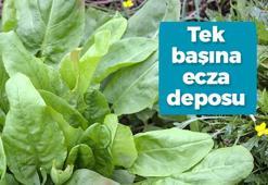 Dünyanın en güçlü mikrop kırıcısı! Streç filme sarıp bekletince mucize yaratıyor