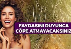 Çinlilerin yüzyıllık ilacı! Kaynatıp saç köklerine sürmek yetiyor: Egzamayı, kepeği ve dökülmeyi durduruyor