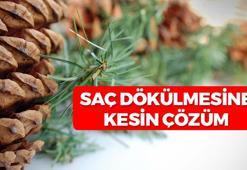 Saç dökülmesine ezber bozan çözüm: Saç köklerini güçlendirerek 1 gecede yeni saç çıkarıyor
