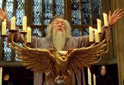 Harry Potter serisinin ünlü isminden acı haber