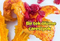 Pazar tezgahlarındaki yerini aldı! Görüp almayanı pişman ediyor, bir tek ölüme çaresi yok