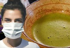 Japon bilim insanları buldu! Koronavirüsün bulaşıcılığını azaltıyor, kanserle savaşıyor: Her gün 1 fincan içmek yetiyor
