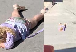 Bir garip olay! Kavşağın göbeğine uzanıp Müge Anlı'yı istedi