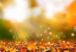 Pastırma yazı ne zaman 2023? Pastırma sıcakları nedir, neden olur?