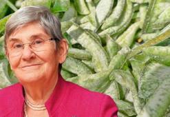 Prof. Dr. Canan Karatay açıkladı: Bu besin 10 yaş geriye götürüyor, genç kalmak isteyen mutlaka tüketmeli!