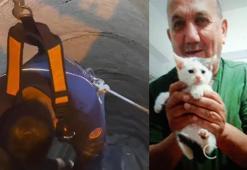 Kedilere mama veren adamın feci sonu