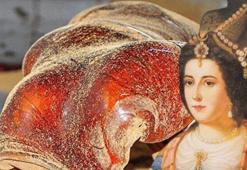 Kanuni Sultan Süleyman'ın annesine derman oldu! Eskisi kadar popüler değil, neye iyi geldiğini duyunca çok şaşıracaksınız...