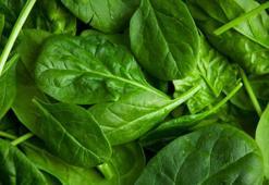 Ispanak faydaları nelerdir? İşte sağlıklı ıspanak yemeği tarifi