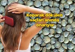 Doğadaki demir içeriği en yüksek bitkisel kaynak! Etten 25 kat fazla demir içeriyor: Koparak dökülen saçları anında onarıyor