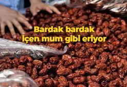 Antalya, Mersin ve Adana'da yok satıyor! Değerini Çinliler biliyor: Bardak bardak içen mum gibi eriyor