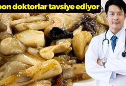 Kore, Çin ve Japonya'da ona ölümsüzlük bitkisi diyorlar! Türkiye'de kıymeti bilinmiyor: Tadı etten farksız, damarlarda kolesterolden eser kalmıyor