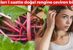 Beyaz saçlara ezber bozan çözüm! Saçları 1 saatte doğal rengine çeviren bitki: Saç boyası derdini tarihe gömüyor