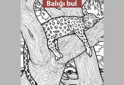 Resimdeki Balığı 10 Saniyede Bulan, Bir Avcının Gözlerine Sahip Demektir!