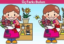 İki resim arasındaki 3 farkı ancak jilet keskinliğindeki gözler 14 saniyede fark edebilir!