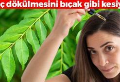 Saç dökülmesini bıçak gibi kesiyor! Bu yöntemi duyan bilen yok: Zeytinyağıyla karıştırıp kısık ateşte ısıtın, 30 dakika köklerde bekletin