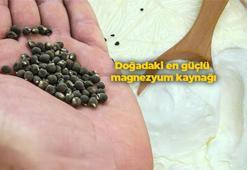 Her derde deva şifa deposu: Bu magnezyum kaynağını yoğurdun içine koyup yiyen zımba gibi oluyor