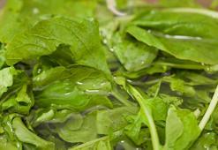 İnatçı öksürüğü, balgamı şıp diye kesiyor! Akciğerleri yeniden doğmuş gibi yapan besin