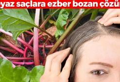 Beyaz saçlara çözüm ezberleri bozdu! 1 saatte doğal rengine çeviren bitki