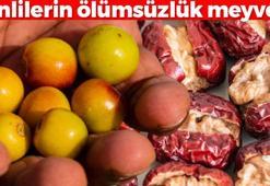 Değerini Çinliler biliyor! Türkiye'de yetişen ölümsüzlük meyvesi: Markette gören torba torba alıyor