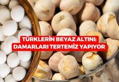 TÜRKLERİN BEYAZ ALTINI: Damarlarda yağ bırakmıyor, kolesterolü anında düşürüyor! Demir depolarını hızlıca dolduruyor