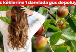 Saç köklerine 1 damlada güç depoluyor! Dökülme, egzama, kepek derdinin dermanı: 24 saat boyunca saç diplerinde bekletip, şampuanla yıkayın